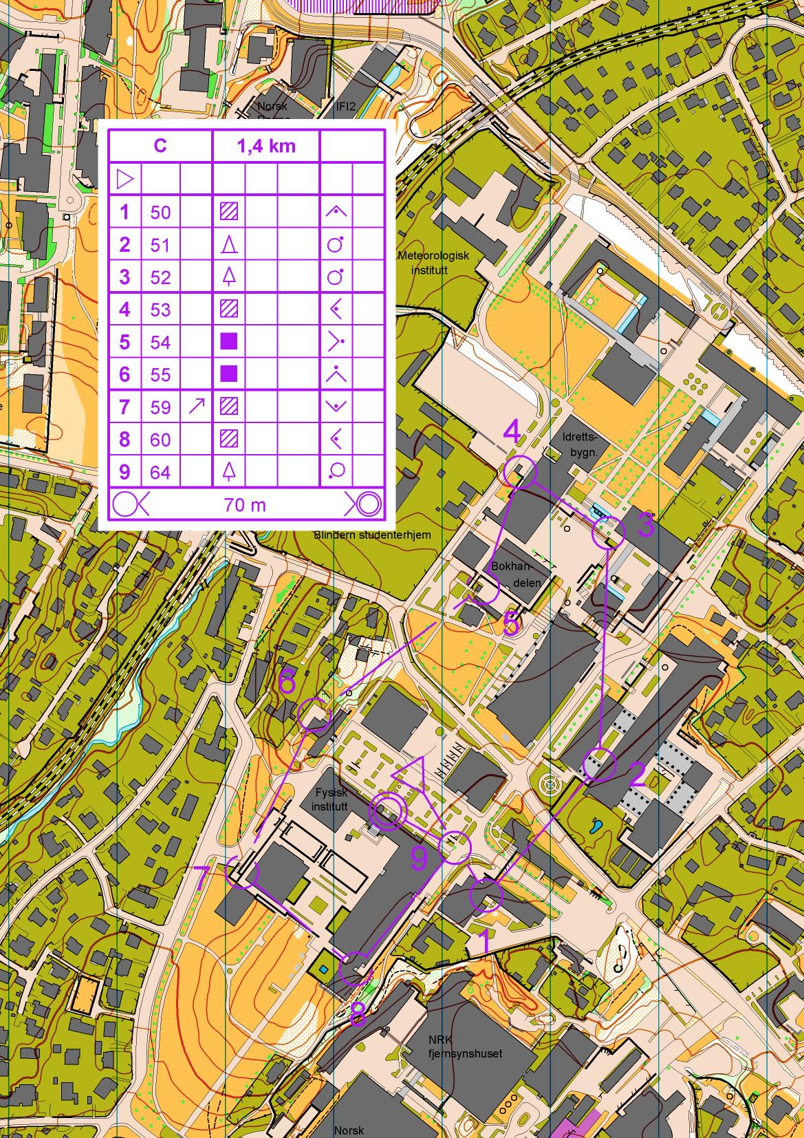 Blindern Sprint C (2015-01-17)