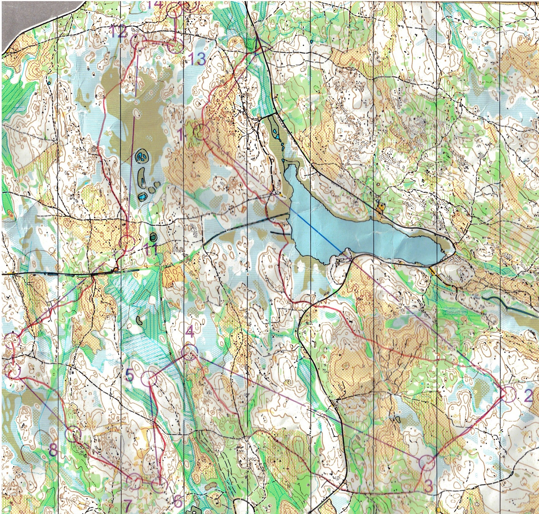 JWOC (jente) uttak på Løten - langdistanse (24-05-2015)