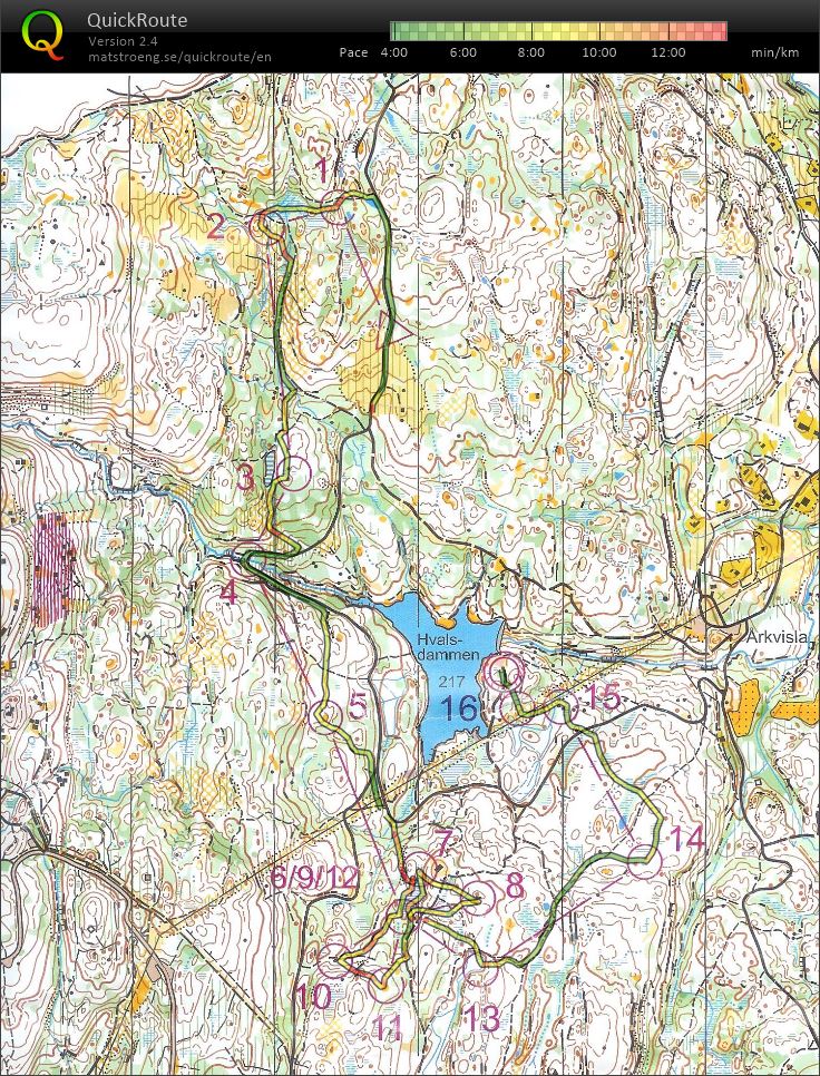 Drammensløpet (2015-08-16)