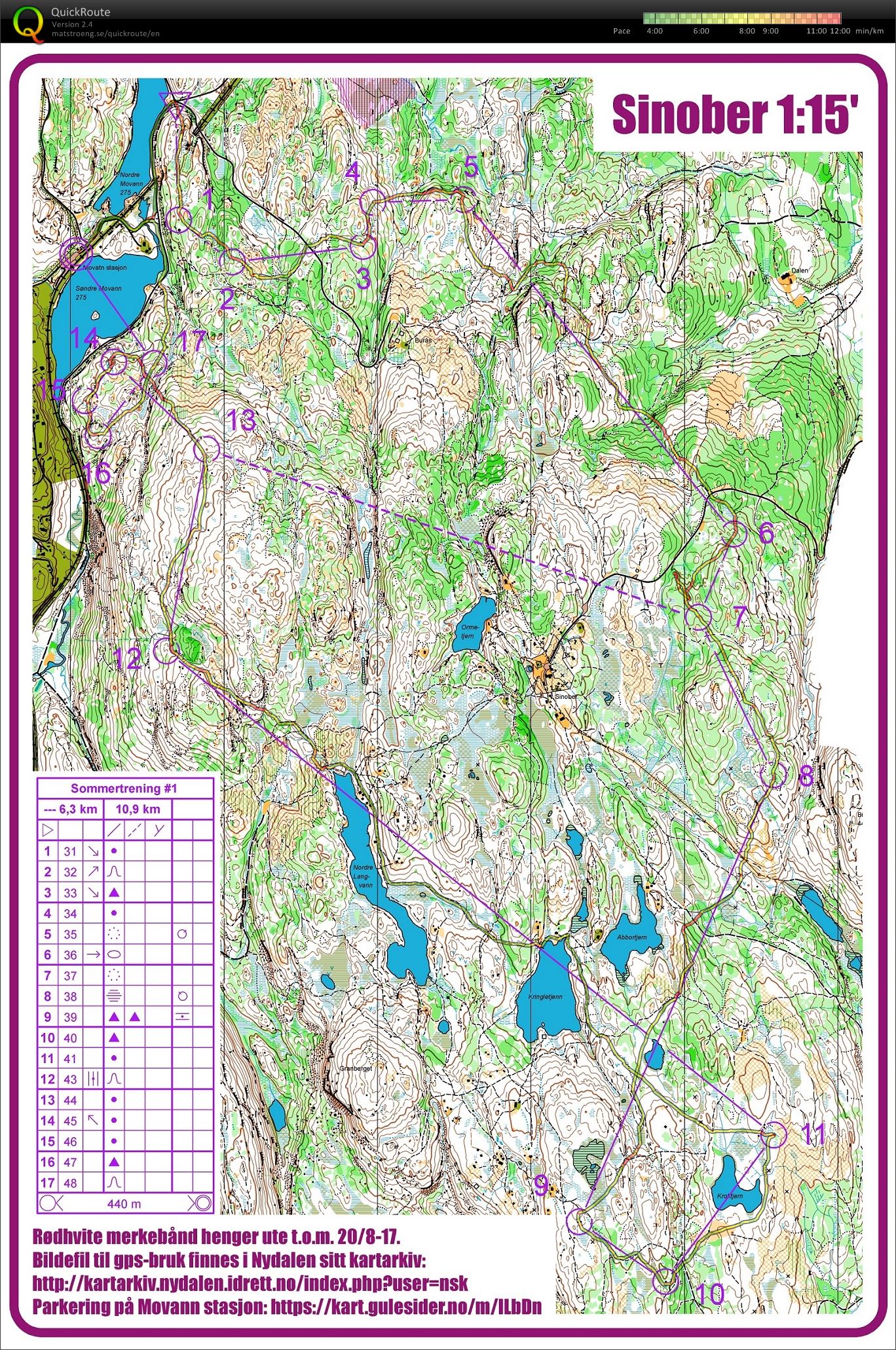 Nydalen summertraining long course (28.06.2017)