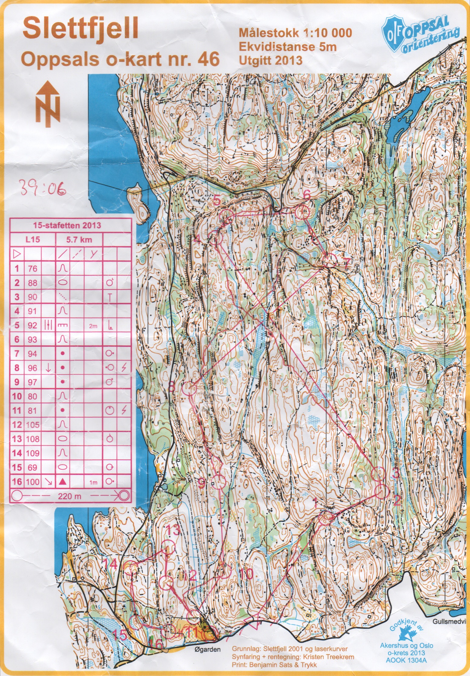 15-stafetten (08.06.2013)