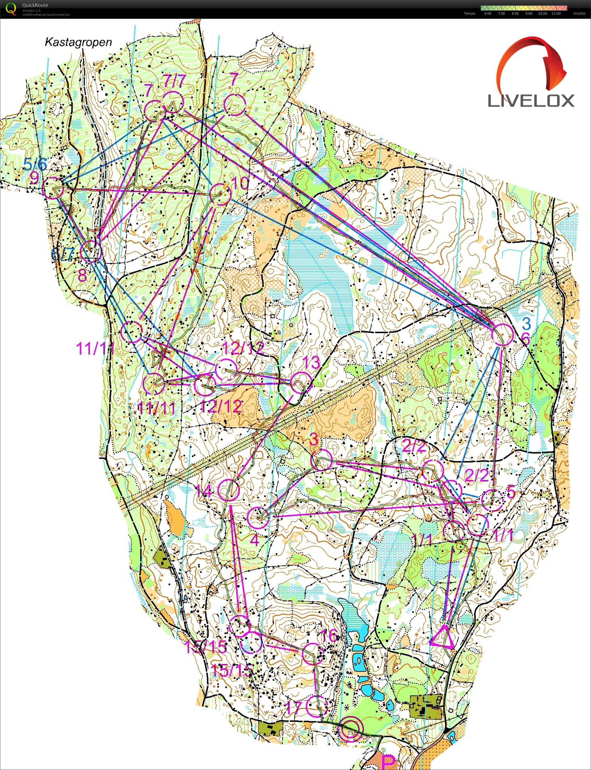 Sverigepremiären stafettrening (02/03/2019)
