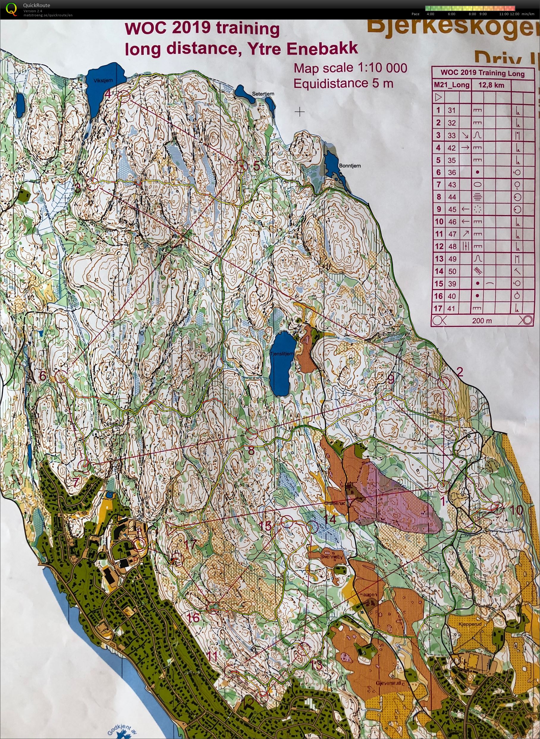 long distance Bjerkeskogen (09.05.2019)