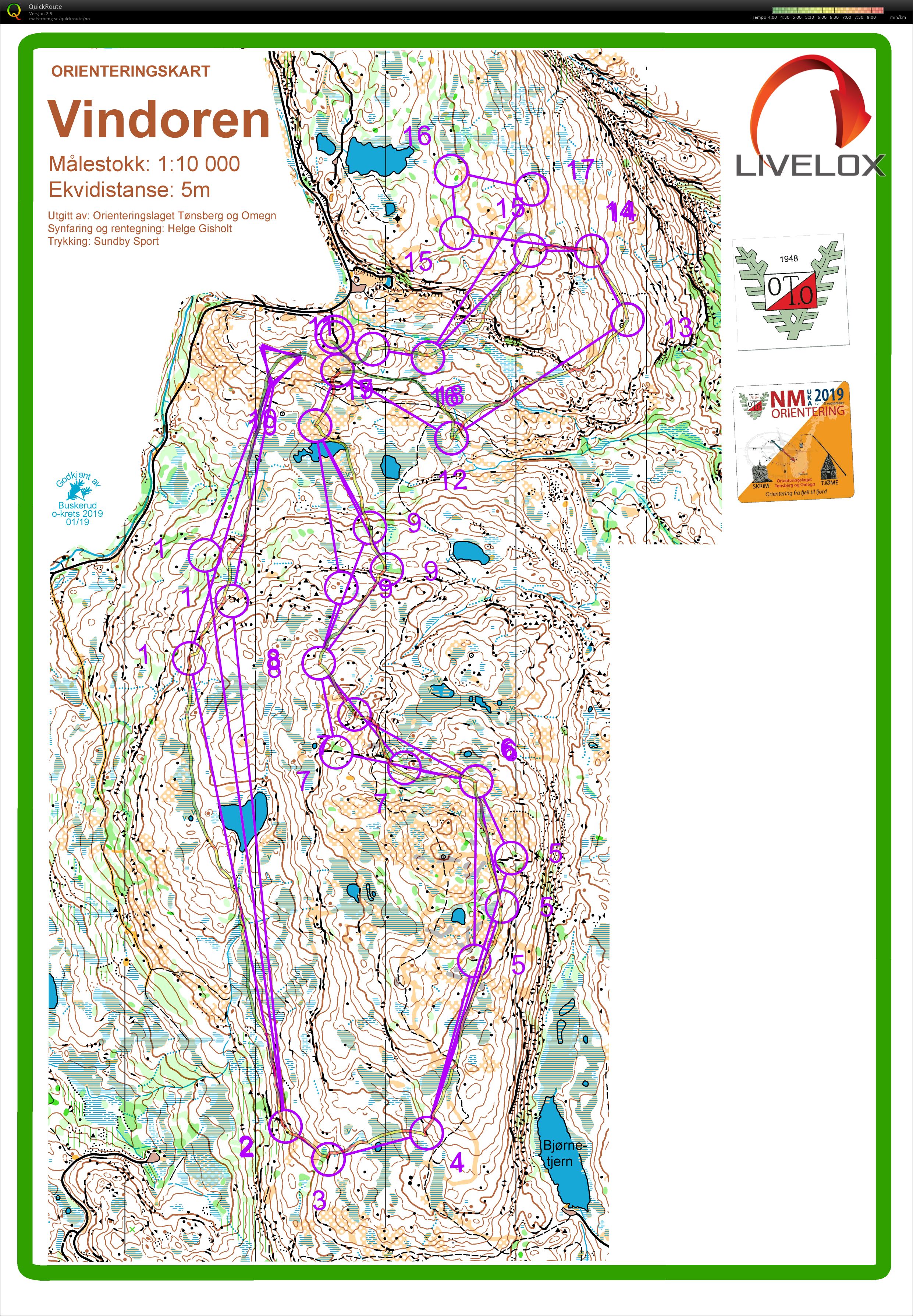 NM stafett (15/09/2019)