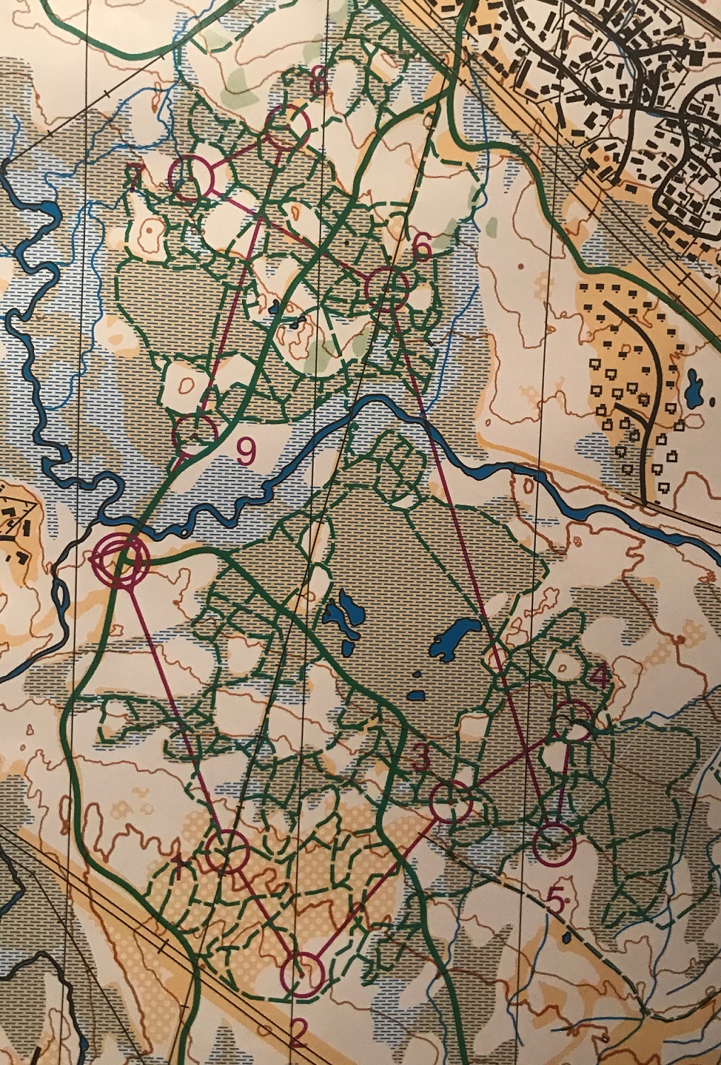 Ski-o sprint A (24/11/2019)
