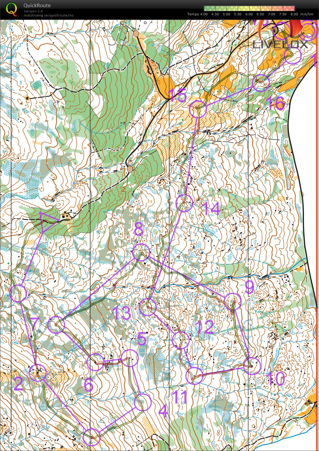 Midnattsolgaloppen #4 (29.06.2025)