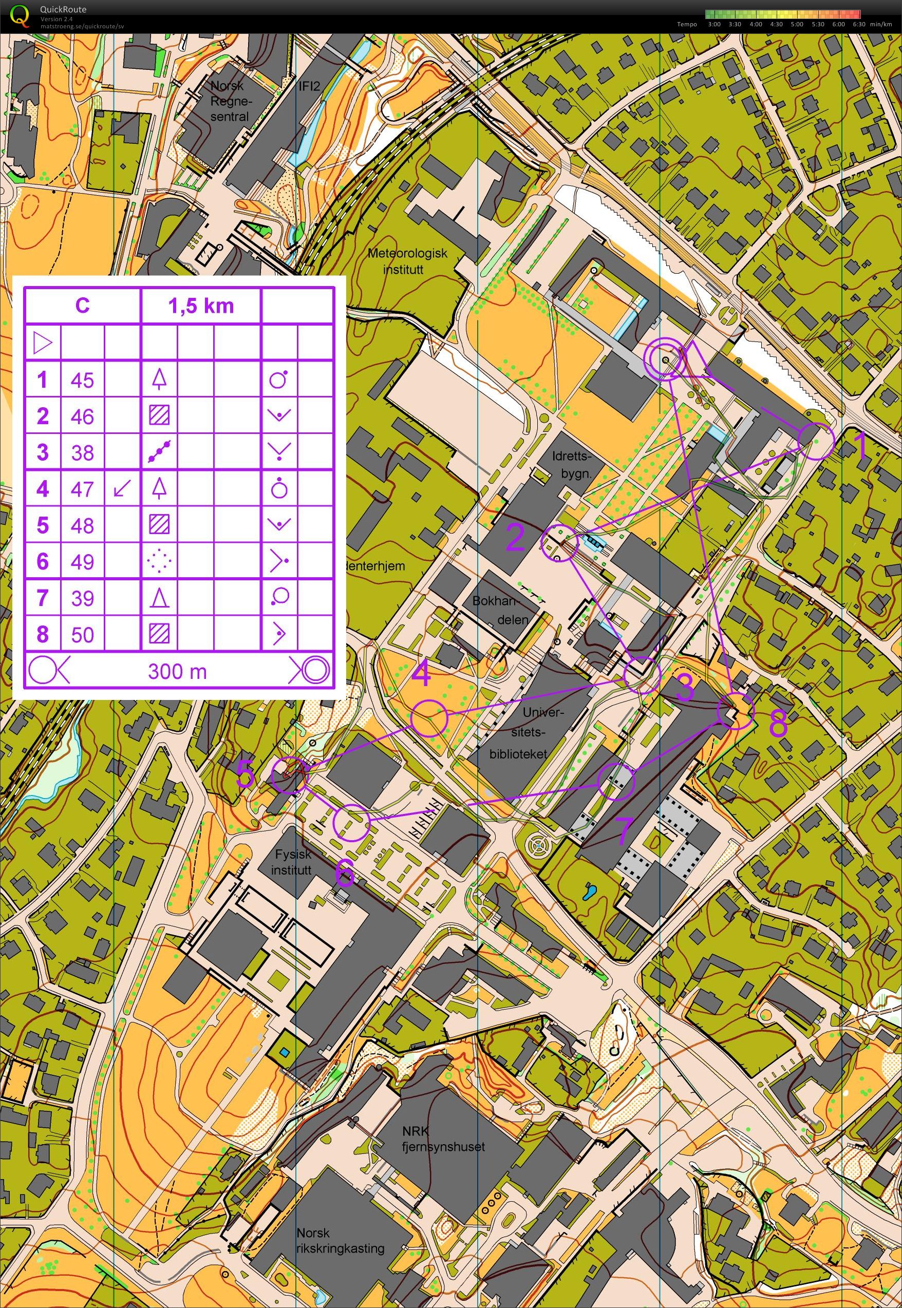 Runde C Sprinttrening Blindern (23.06.2014)