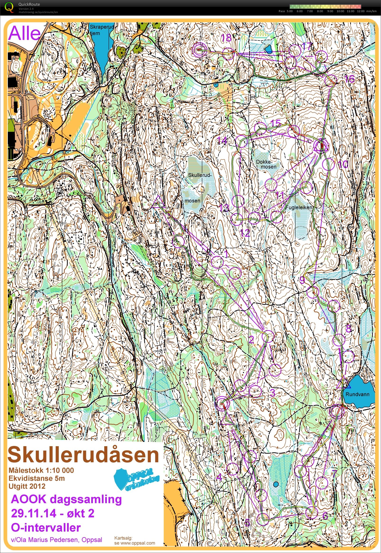 AOOK dagssamling stafettøkt (29.11.2014)