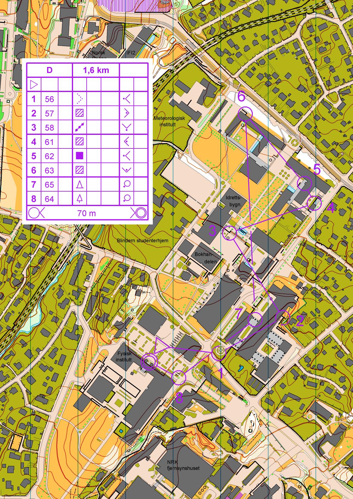 Blindern Sprint D (17.01.2015)