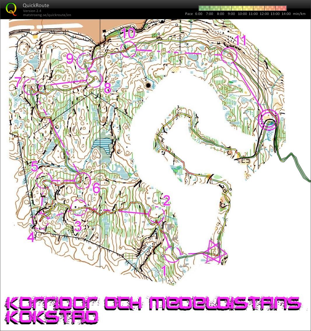 Kokstad Training (29.02.2016)