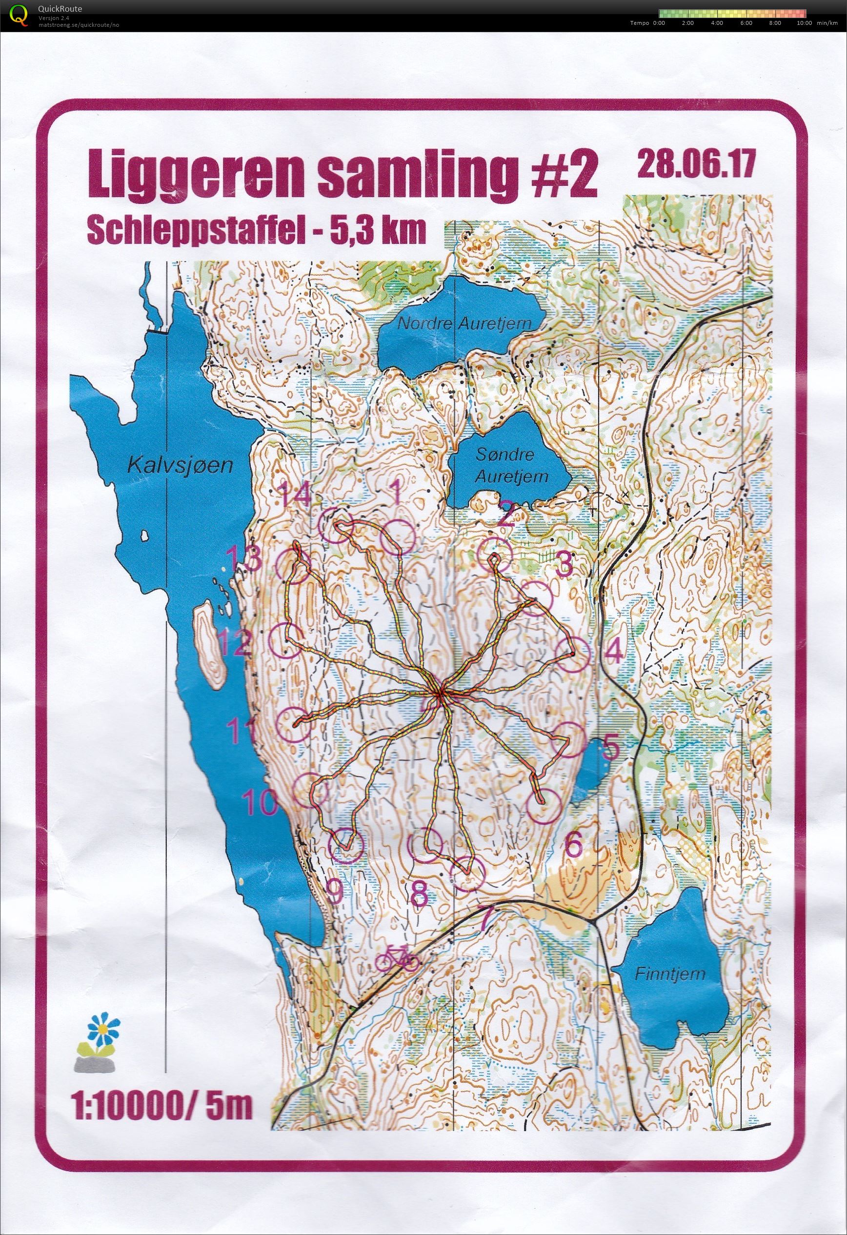Sommersamling Liggern #2: Schleppstaffel (28.06.2017)