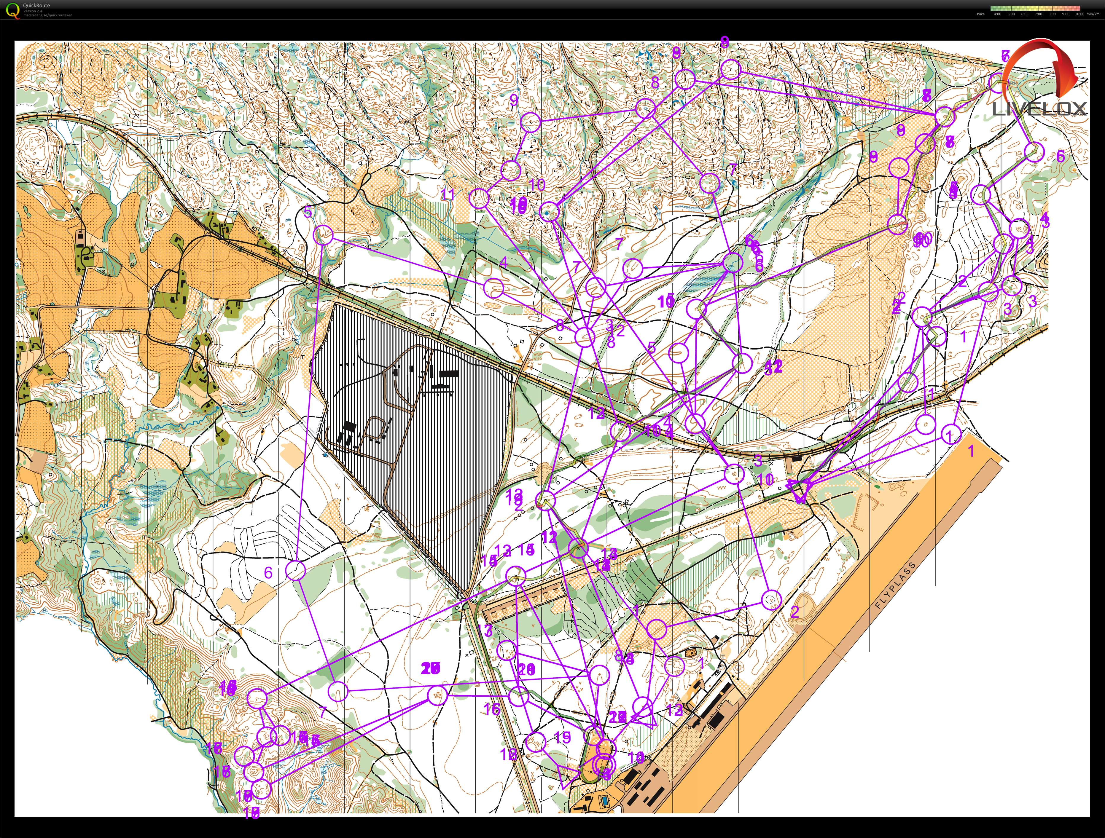 Nighthawk night 2leg (04/08/2017)