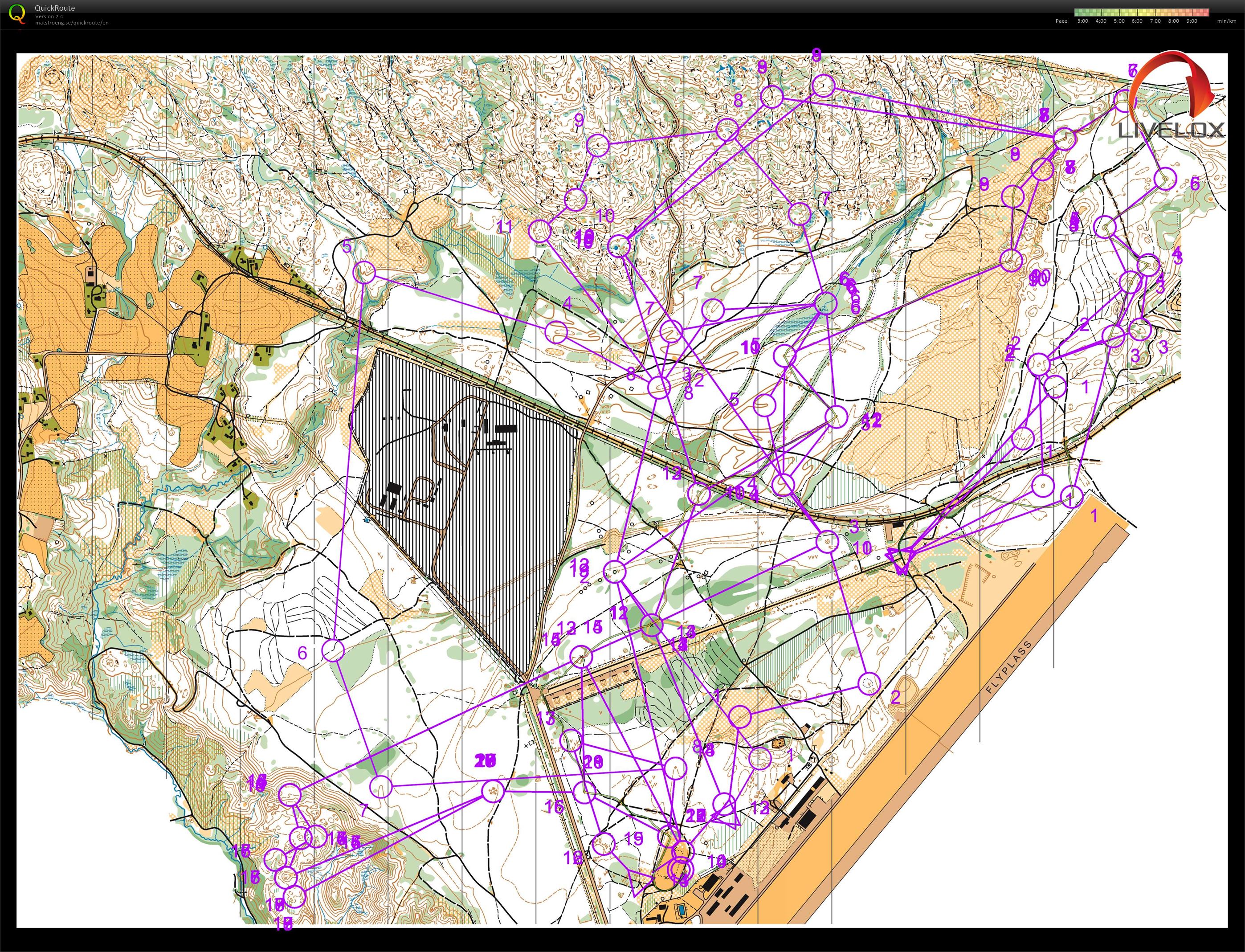 Night Hawk (04.08.2017)