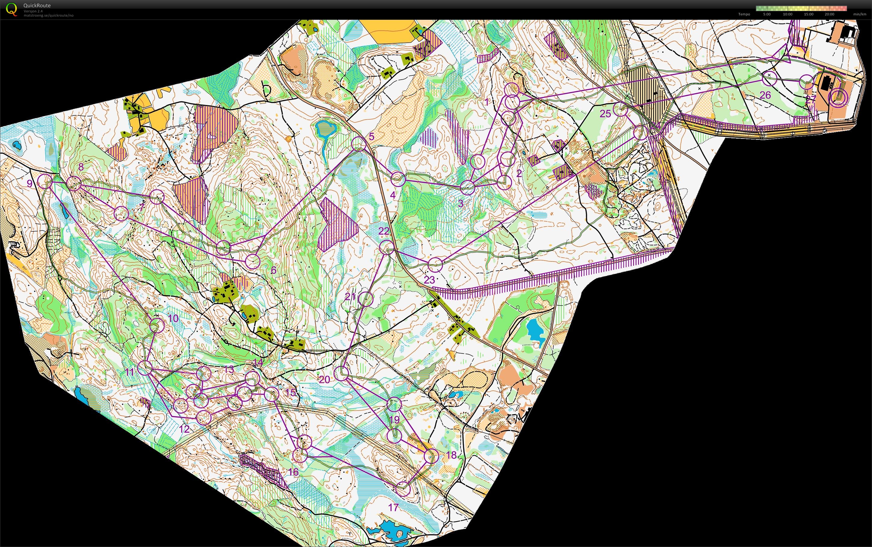 Jukola 2013 (15.06.2013)