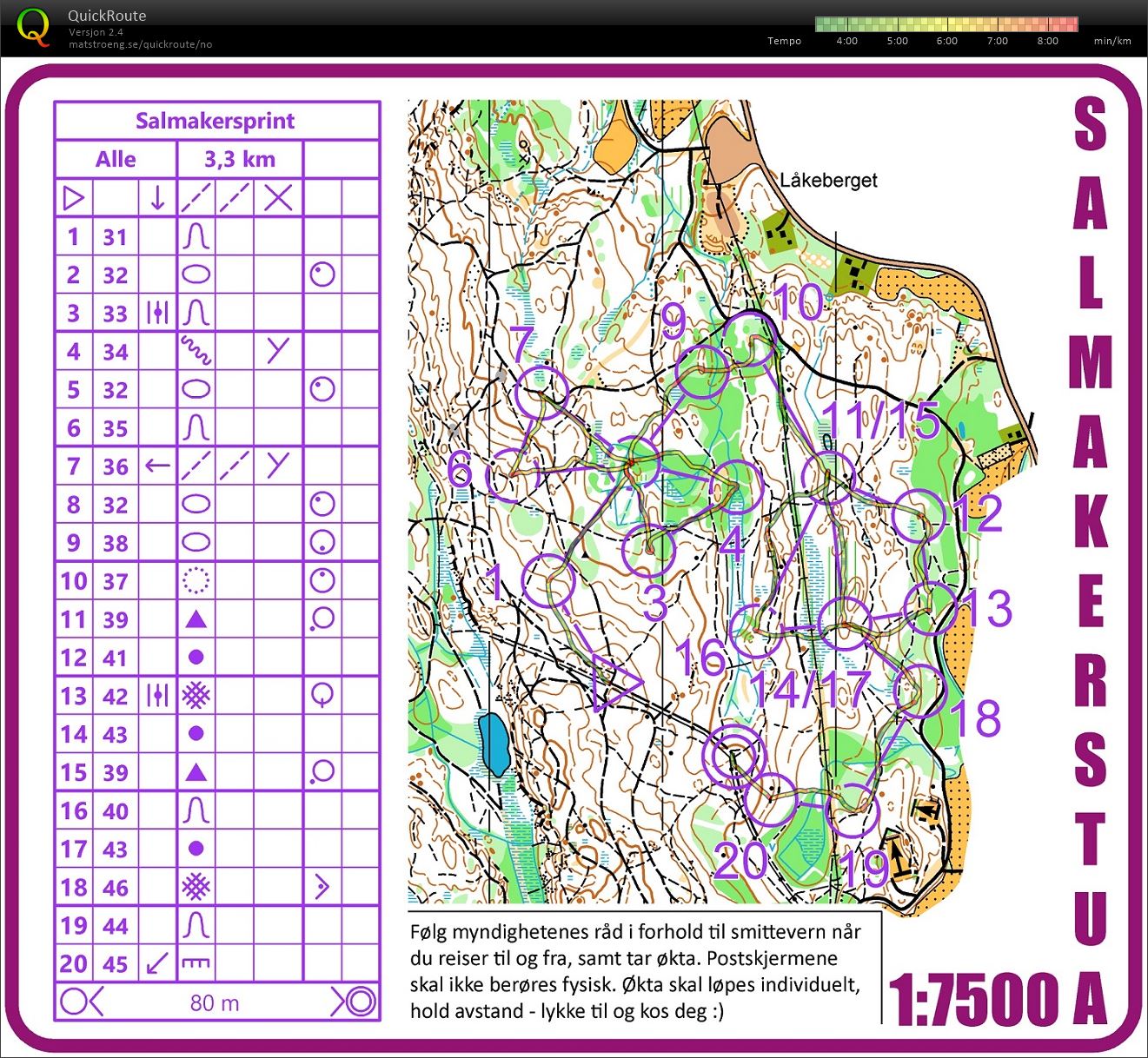 Salmakersprint (2020-03-30)