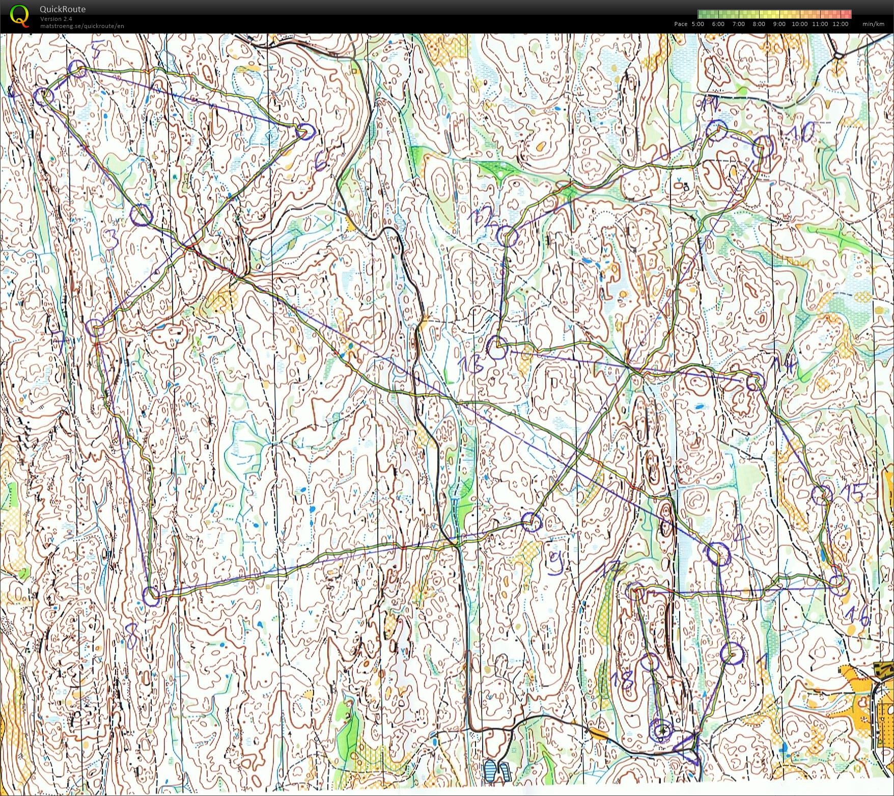 O-økt Vikersund (25.04.2020)